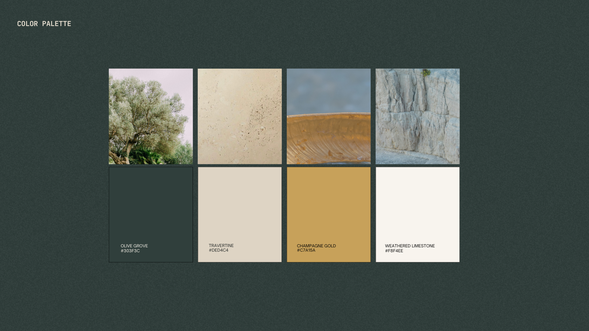 DANAË color palette — olive grove, travertine, champagne gold, weathered limestone